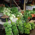 Томохон (Tomohon) — небольшой городишко в Северном Сулавеси, приютившийся на склоне вулкана Локон. В окружении укутанных туманом гор и
            ржавых синих автобусов, на окраине города расположен вполне себе традиционный продовольственный рынок.