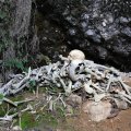 Когда развешанные по склонам гробы совсем разваливаются, кости кучками скапливаются у подножия.