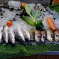 Выбор морепродуктов традиционен и невелик. Готовят неплохо, хотя, в целом, кухня дороже и хуже, чем в Бангкоке.