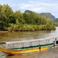 По мангровым лагунам курсируют длинные, ярко раскрашенные лодки.