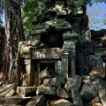 Вялотекущий процесс превращения Ангкора в объект туристического паломничества был подстегнут одним французским натуралистом, блуждавшим, как гласит легенда, в припадке малярии по камбоджийским джунглям и случайно набревшим на
            Ангкор, где его подобрали и выходили монахи. Как он смог заблудиться в населенной местности в нескольких километрах от Сием Риепа, история умалчивает.