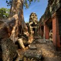 Лишь грандиозные размеры спасают Ангкор от немедленной реставрации и прополки. Иначе давно можно было бы наблюдать ровные квадраты брусчатки с бесконечными рядами бетонных статуй.