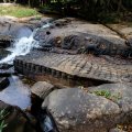 Апофеозом творческого рукоблудия камбоджийских резчиков по камню является Кбал Спин (Kbal Spean) - небольшая горная речушка с водопадом.