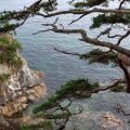 В воде же пасутся стада морских ежиков, организованно сбегающихся под мои голые пятки, пока я, словно большая жирная цапля, истошно матерясь и энергично балансируя руками ковыляю вброд по скользкому мелководью.