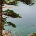 Впрочем, материализовавшаяся на поляне в районе бухты Теляковского, дама глубоконаучного вида, назвала эти лужи литоралью, а гардемарину Гамову (в честь которого назван остров) присвоила адмиральский чин. Полагаю, что ученой даме с
              папкой красивых  фотографий и каких-то мудрых сведений о заповеднике, виднее. Посему, пусть так и будет.