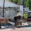 Эвакуировавшиеся с соседнего острова Себу испанские конкистадоры, теснимые португальскими пиратами, в 1571 году основали Манилу (сохранившийся поныне район Интрамурос), предварительно выгнав с насиженного места обитавших тут мусульман.
              И поныне Филиппины являются оплотом христинства в регионе, будучи окруженными иноверцами. Аборигены набожны, крестятся проезжая мимо церквей, не любят США (по распоряжению правительства) и едят свинину (что по их мнению непременно
              должно шокировать иностранцев).