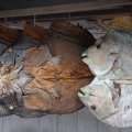 Понравился способ разделки вяленой рыбы. Хотя, рыбу с такой протокольной мордой как ни разрежь, все смешно получается.