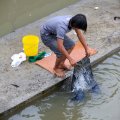 Наводнение успешно заменяет водопровод. Устраивать стирку можно посреди затопленной улицы.