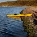 Неосторожно высадился на берег, покрытый толстым слоем водорослей, тушка по самое нехочу провалилась в мягкий зеленый ковер. Не в меру
            разросшейся морской капусте не хватает естественных врагов — морских козлов. На этой, с позволения сказать, экологической ноте, я и
            завершу сие краткое повествование.