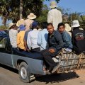 Основной пассажирский транспорт в Камбодже - это пикапы. Грузоподъемность - сколько влезет и еще столько же.