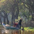 Вокруг деревни простирается загадочный подводный лес Кампонг Плюк. Мелкие гребные лодки снуют меж торчащих из воды корявых древесных стволов.