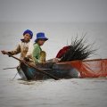 Где-то в этой воде сидят полторы тысячи видов рыб. Встречаются упоминания о продуктивности озера в десять тонн рыбы на квадратный километр. Вот, видать, прямо сачком и черпают.