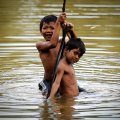 В зеленой, пахнущей болотом воде теплой лагуны, целый день мокнут многочисленные дети, коих в Камбодже принято рожать много, про запас. Получаются они тут весьма мирные и какие-то тактичные, на фоне, например, своих индонезийских
            сверстников.