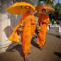 Государственной религией в Камбодже является буддизм, о чем не дают забыть постоянно встречающиеся грибообразные оранжевые фигуры.
            Совершая утренний обход вверенной территории, монахи собирают с верующих дань в виде вареного риса и прочей, уже готовой к употреблению,
            пищи. При этом, столичные монахи носят добычу в специальных гламурных котелках, а их собратья в провинции довольствуются стандартными
            судками из нержавейки.