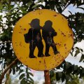 
              Знак, установленный в городе, населенном преимущественно батаками, удивительно точно отражает характерные черты фигуры и походку представителей этого племени. Дорожные знаки на Суматре не менее ржавые, чем двигающиеся по этим дорогам
              автомобили.
            
