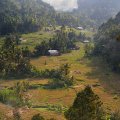 Это уже территория Западной Суматры (Sumatera Barat). Со своей столицей в городе Паданге, матриархатом, джунглями, островами и культурным центром Букиттингги, куда мы собственно и едем.
            