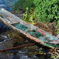 Утлое каноэ, да охапка сетей, вот и весь нехитрый инвентарь рыбака.
            