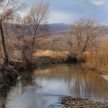 Сезон открыт, хоть и принимал я в этом лишь гастрономически-наблюдательное участие. Осталось воплотить в жизнь скромные водные
              планы на этот год, жалея, что нельзя объять необъятное.
            