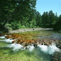 
              Такой вот ручеек из минеральной воды.
            