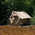 
              Днем, свободные от таежных зарослей участки реки, приплющило жарой. И так немногочисленные в Приморье комары и мошка полностью
              отсутствовали. Зато воздух гудел от мух и прочих оводов, да ос всех типов и конструкций.
            