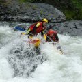 
              Пара секунд из жизни водоплавающих. Прохождение порога Тройной.
            