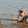 
              Прожариваем на солнце свой выводок, уже успевший побледнеть после экваториальных стран.
            