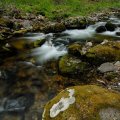 
              Вот уже горные склоны вновь сменились ручьями, козья тропа по каменистым кручам переросла в лесную дорогу, кедровый стланик уступил
              место широколиственным сорнякам. Еще немного и шелест листвы засорится лаем деревенских собак, а аромат горного воздуха растворится в
              смраде креозота от железнодорожного полотна.
            