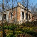 
              Руины казарм. Весьма добротно построенные здания, но, судя по толстым, растущим внутри деревьям, заброшены много лет назад.
            