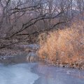 От моря достаточно далеко, посему тут во всю имеет место быть зимнее настроение и прочая погода. Болота замерзли. Ночью температура опускалась до -15 градусов. Отвыкший за лето организм дивился густотекущей в стакан водке, да
              мгновенно замерзающим на столе огурцам.
            