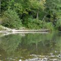 
              Вода в реке вполне в норме. У детенышей рыба ловилась на сыр. Интересно попробовать разные сорта. Этот вид наживки явно незаслуженно обойден вниманием рыбацкой общественности.
            