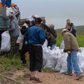 
              Загружаем добытый мусор в Камаз. Вот собственно и вся протокольная часть мероприятия.
            