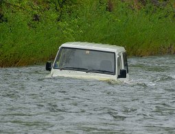 В целом порадовала солнечная погода, да общедорожные впечатления от общения с природой и прочими спиртными напитками.
            