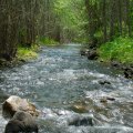 
              Воды нынче много. Везде булькают ручьи, ручейки и всяческие водоемоболота. Местами дороги стали новыми руслами рек.
            