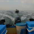 Лодка весьма универсальная, может использоваться даже в качестве ватрушки. Неспешно продвигаясь в водоизмещающем режиме, достигли мы берегов острова Клыкова.
            