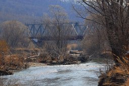 Событие регулярно происходит на туманных водах реки Шкотовка, в районе железнодорожного моста. По мосту весело шмыгают вагоны с паровозами, не давая забывать о близости цивилизации.
            