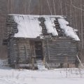 Очередное милое глазу строение. Таковых в округе достаточное количество. Когда-то в этих местах было поселение староверов, но цепкие лапы Родины добрались и до глухого таежного угла. Все население благополучно уничтожили. Потом
              были военные, старатели... Сейчас осталось две семьи, да стайка собак.
            