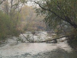Река Шкотовка. Собственно тут и закрывается сезон катамаранщиков и прочих водоплавающих.
            