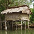 Пятизвездочный отель. Сваи и вода служат защитой от гигантских муравьев. В четырехзвездочном отеле, от муравьев приходится самостоятельно отбиваться шваброй.
            