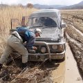 Посадил дед репку, а Серега посадил Сафарика.
            