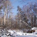 
              Рыбалкой я не очень озабочен, все больше бегаю с фотоаппаратом, да снимаю рзные пейзажи.
            