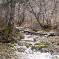 
      Ночь прошла в водочном оргазме. Распространяя перегар на гектар, мирно пьянствовали мы, шизофренируя в свете полной луны. Утром меня ждало веселое развлечение. Где-то ниже по течению образовался ледяной затор. Вода поднялась и затопила поляну
      с нашим бомжатником. Сафарик стоял как затертый во льдах ледокол, вокруг схватывался свежий ледок. Я злобно хлюпал мокрыми ботинками, пытаясь освободить из ледового плена вмерзшие стульчики и прочий скарб.
    