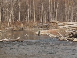 
      Милый ручеек, весело текущий меж корней деревьев, и оказался некогда немалой рекой Арсеньевкой.
    