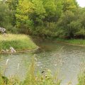 
      Водоем в низовьях достаточно симпатичный.
    