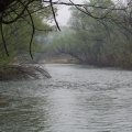 
      Под дождем рыба мокнет прямо в реке.
    