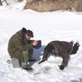 
      А этим только дай волю, сами за рыбой в лунку попрыгают.
    