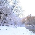 
      На главную страницу
    