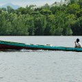 Это у нас берег моря забросан лишь песком да бутылками. Тут офигевшая растительность лезет прямо в морскую воду, где наглым образом произрастает. Отливы оголяют большие участки илистых берегов с живописными мангровыми хитросплетениями.
