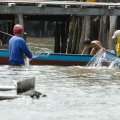 Учитывая стекающие в воду фекалии, особой прикормки для рыб не надо. Сети можно ставить прямо под домом между свай.
