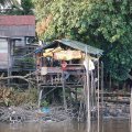 Попутно снимаем деревенский срач и прочий быт морских обитателей.
