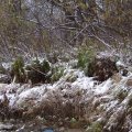 Пока я страдаю вот такой херней, мужики успешно ловят рыбу.
